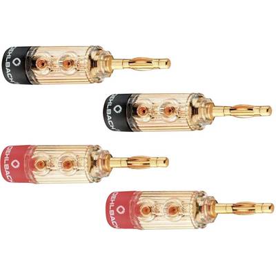 Two transparent speaker plugs with gold-plated contacts; one with black labelling, the other with red labelling; plug-in compatible.