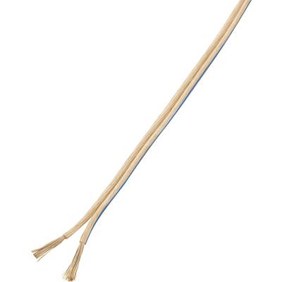 Stripped, two-pole speaker cable with bare copper wires, a blue marking for identification, and an open end.