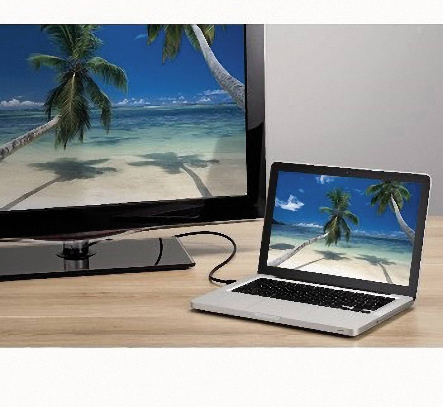 Hama Mini DisplayPort / DisplayPort Adapter cable Mini DisplayPort plug, DisplayPort plug 1.80 m Black 54563 Shielded Di-5