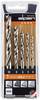 Alpen 600114100 Wood twist drill bit set 5-piece 4 mm, 5 mm, 6 mm, 8 mm, 10 mm Cylinder shank 1 Set