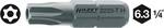 TORX screwdriver insert (bit)