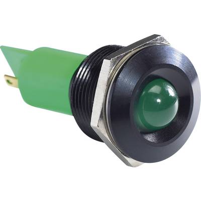 APEM Q19P1BXXG24AE LED indicator light Green   24 V DC, 24 V AC    Q 19 P1 BXXG 24AE 