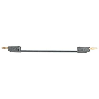 Black, rod-shaped electronic component with two copper-coloured plug contacts at the ends.