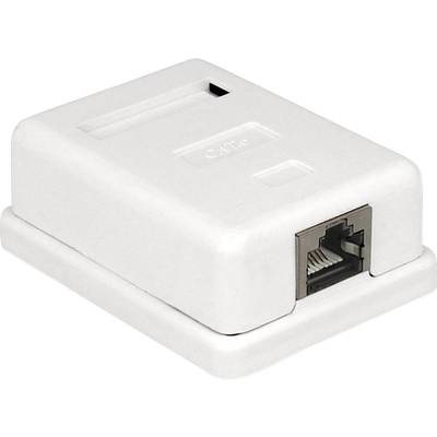 Delock 86169 Network outlet Surface-mount, Assembly Insert with main panel and frame CAT 6 1 port White