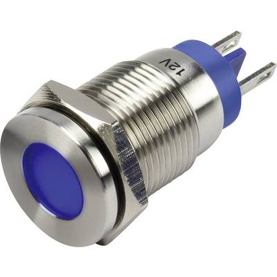 A round, blue push button with a metal casing and '12V' marking, suitable for electrical circuits.