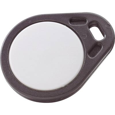 A round, flat RFID chip with a plastic casing and a hole, suitable for attaching to key rings.