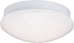 LED Ceiling Light with Motion Detector Fakir