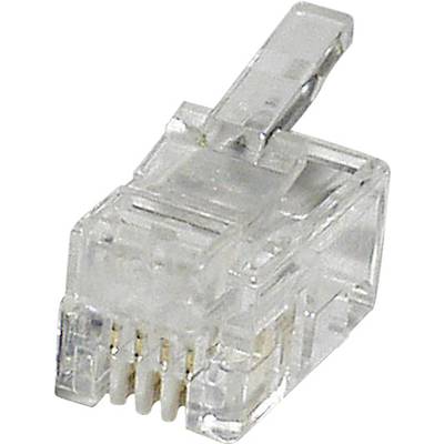 A close-up image of a transparent, five-pin RJ45 plug used for Ethernet network connections.