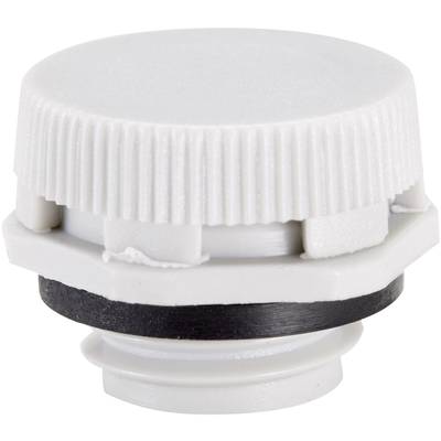A white plastic screw cap with a ridged edge and seal. Suitable for sealing openings, prevents leakage.