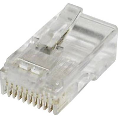 econ connect MPL10/10R Modular plug MPL10/10R Plug, straight Pins: 10 Clear 1 pc(s)