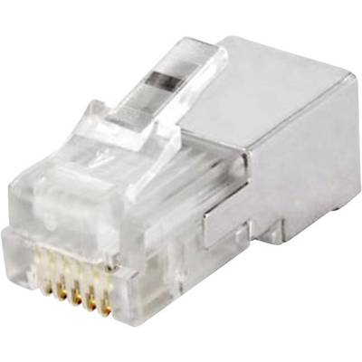 A silver-coloured RJ45 plug with a transparent housing, suitable for network connections, reveals the golden contacts at the front.