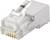 A silver-coloured RJ45 plug with a transparent housing, suitable for network connections, reveals the golden contacts at the front.