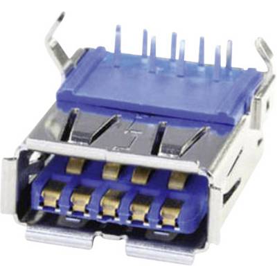 A USB plug with blue and silver metal parts, multiple gold-coloured contacts and pins for the electronic connection.
