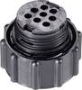 TE Connectivity 206434-1 Bullet connector Plug, straight Total number of pins: 8 Series (round connectors): CPC 1 pc(s)