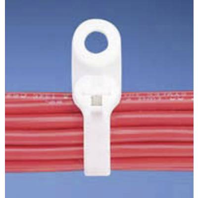 Panduit BC2S-S10-C BC2S-S10-C Cable tie 216 mm 4.70 mm Ecru Eyelet, Metal latch 1 pc(s)