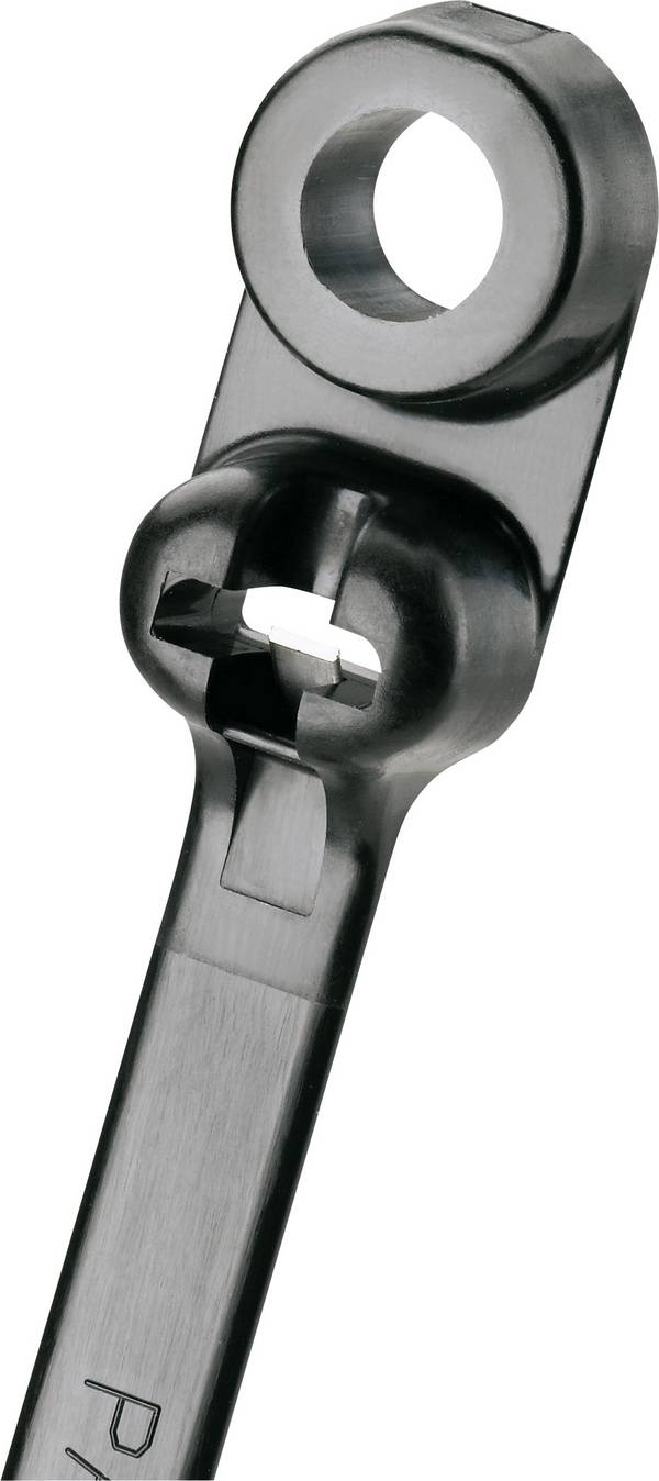 Panduit BC2S-S10-C0 BC2S-S10-C0 Cable tie 216 mm 4.70 mm Black Eyelet fastener 1 pc(s)