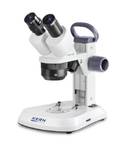 Kern Optics OSF 438 Stereo microscope Binocular 30 x Transmitted light, Reflected light