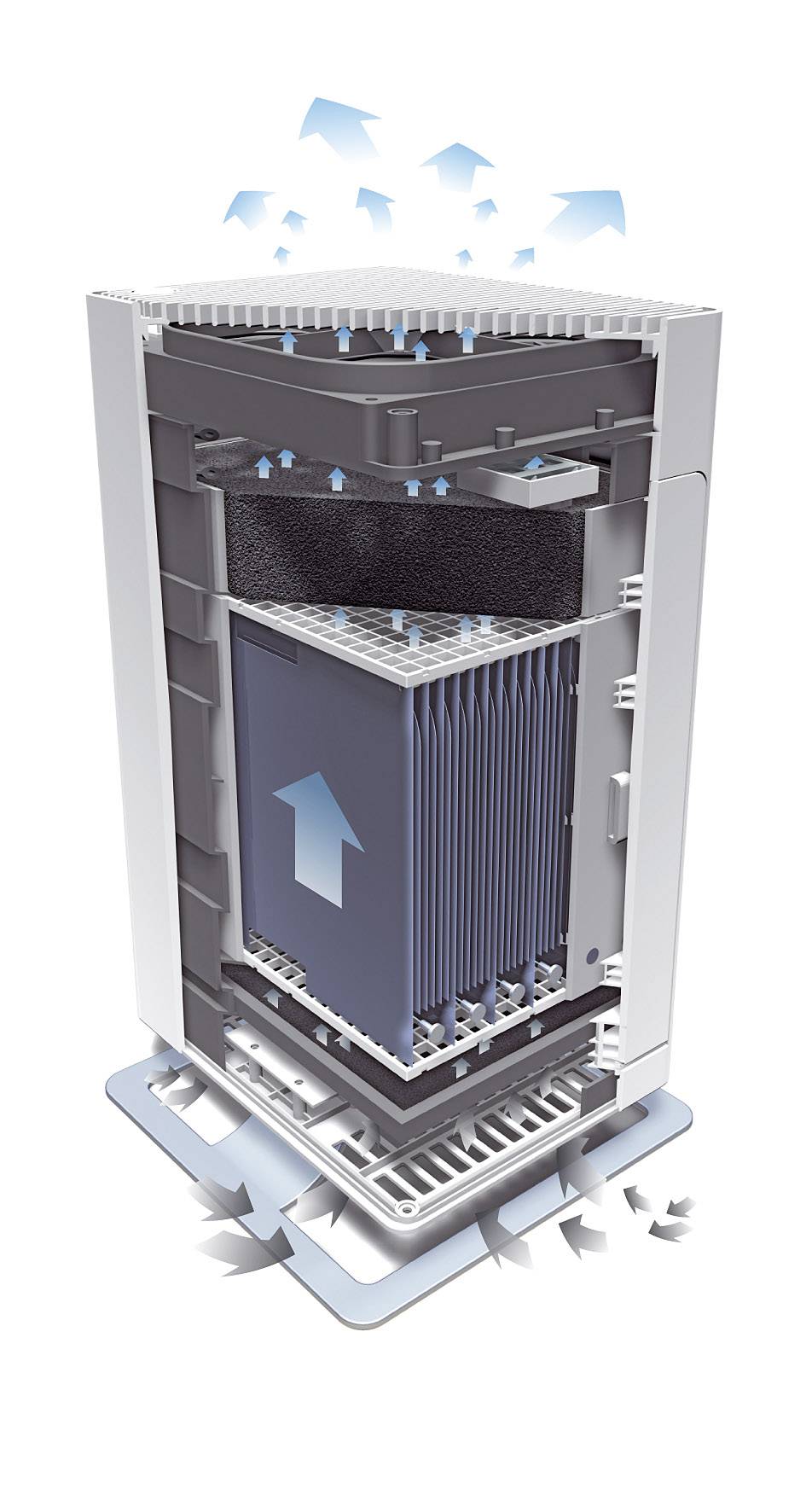 Cross-section of an air purifier, showing how air is drawn in from below and expelled upwards after filtration.