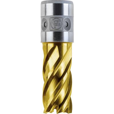 A gold-coloured, spirally milled drilling tool with a silver cap and two lateral notches at the top, 'Fein' brand visible.