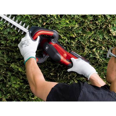 A person wearing work gloves is cutting a hedge with a red electric hedge trimmer.
