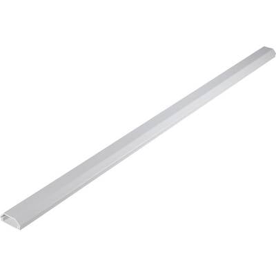 A long, narrow piece of white cable trunking, designed for neatly concealing cables on the wall or floor.