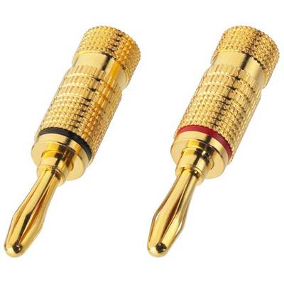 Two golden banana plugs: one with a black ring on the left, the other with a red ring on the right, for cable connection in audio equipment.
