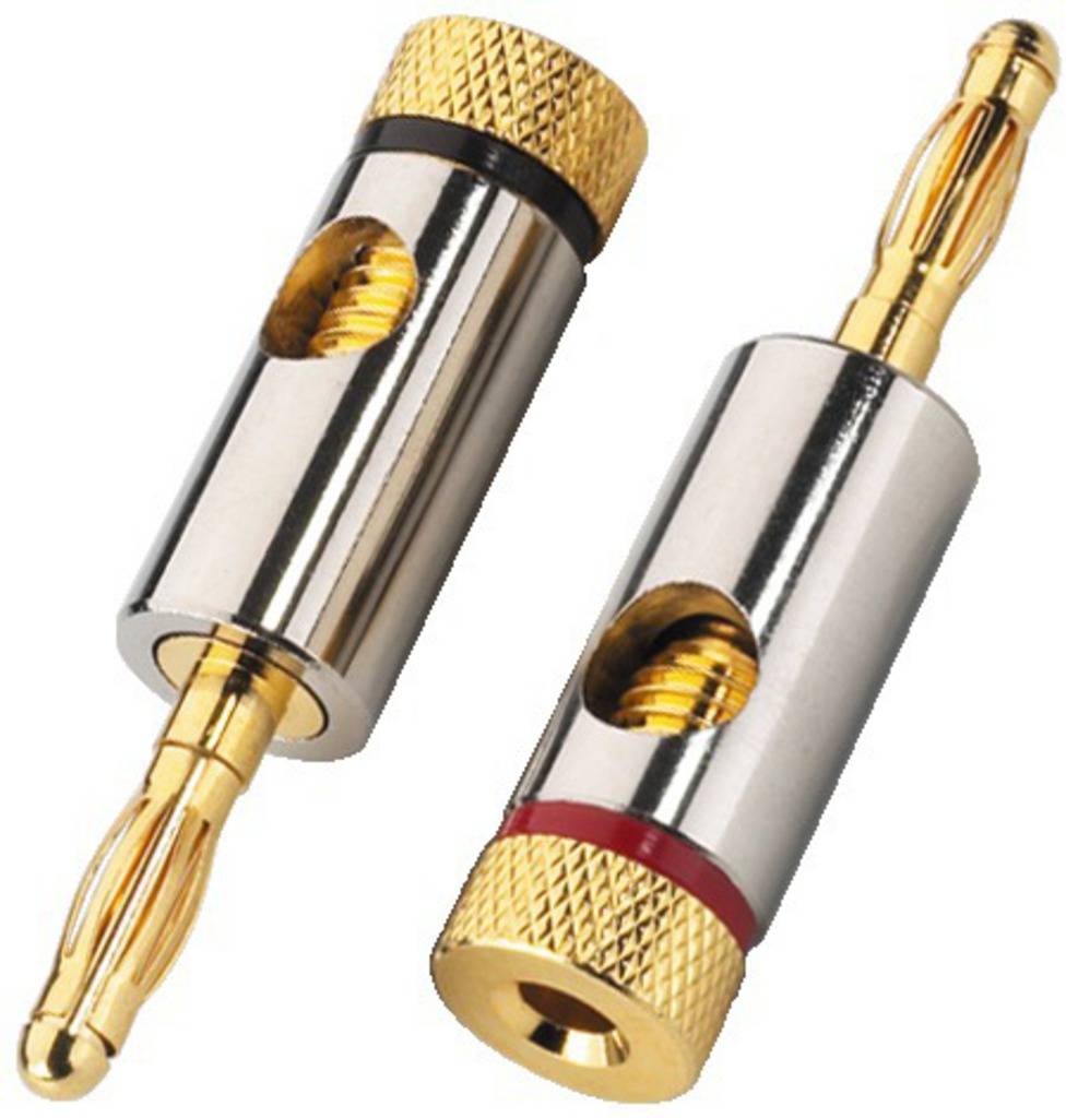 Two banana plugs in silver with gold contact pins, one with a red ring and one with a black ring for speaker connections.