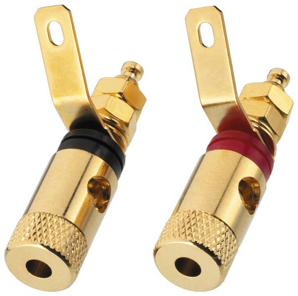 Two gold-plated speaker terminals, one marked in black and one in red, for connecting speaker cables.