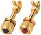 Two gold-plated speaker terminals, one with a black marking, the other with a red marking, for connecting audio devices.