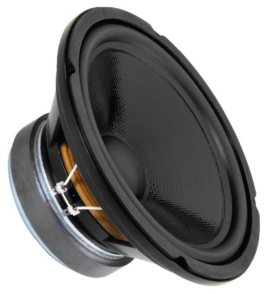 10 inch 100 watt subwoofer