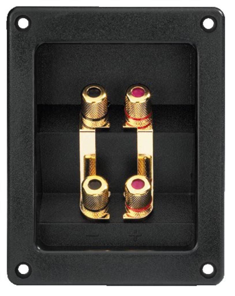 Two gold-coloured speaker terminals in a black housing. Positive and negative poles are marked.