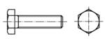 Cap Screws