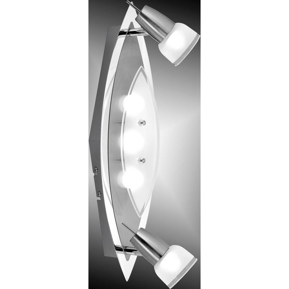 Paul neuhaus meral Paul neuhaus meral