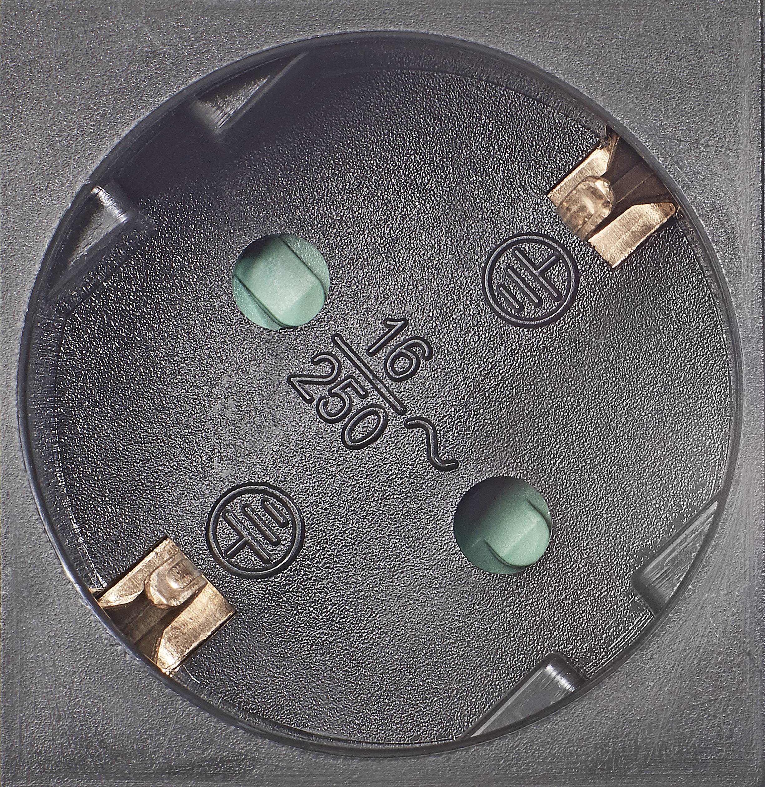 Close-up of a black Schuko socket with two round holes for plug pins and earth contacts, suitable for 16A, 250V.