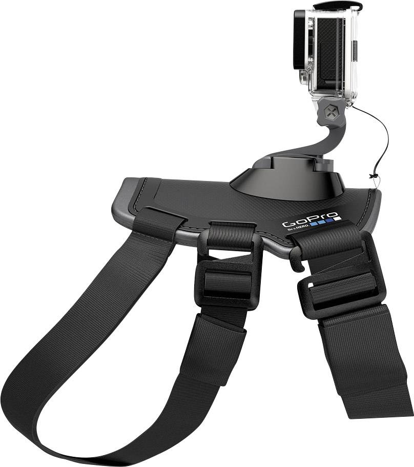 attach gopro to dog