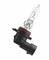 Halogen lamp with a cylindrical glass section and black base, used for vehicle lighting.