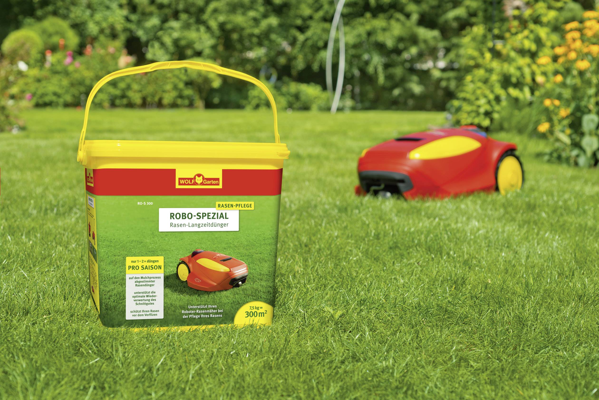 Bucket with Robo-Special Lawn Long-Lasting Fertiliser sits on a lawn, with a red robotic lawnmower in the background.