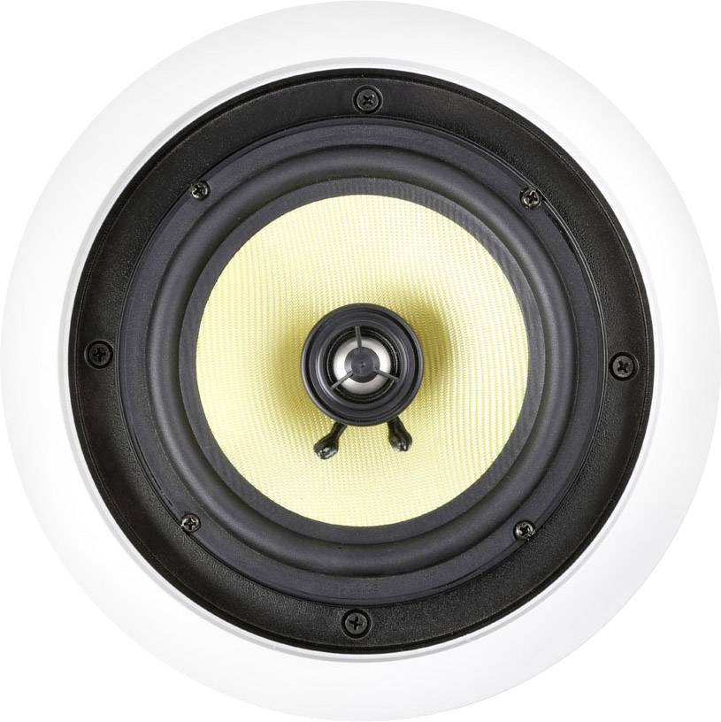 Speaker in close-up, circular, with black border and yellow membrane.