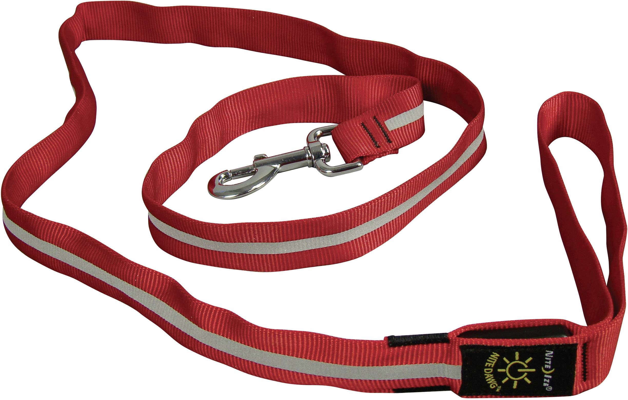 rad dog leash