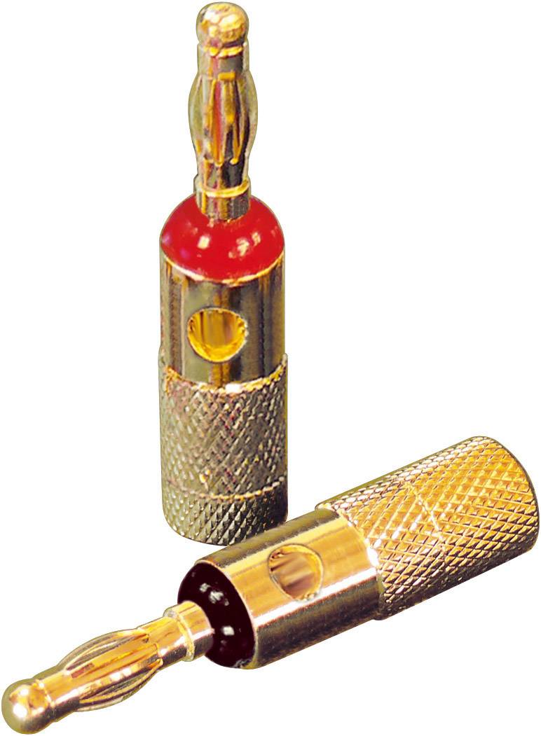 Image of Dynavox 205095 Banana jack 4 pc(s)