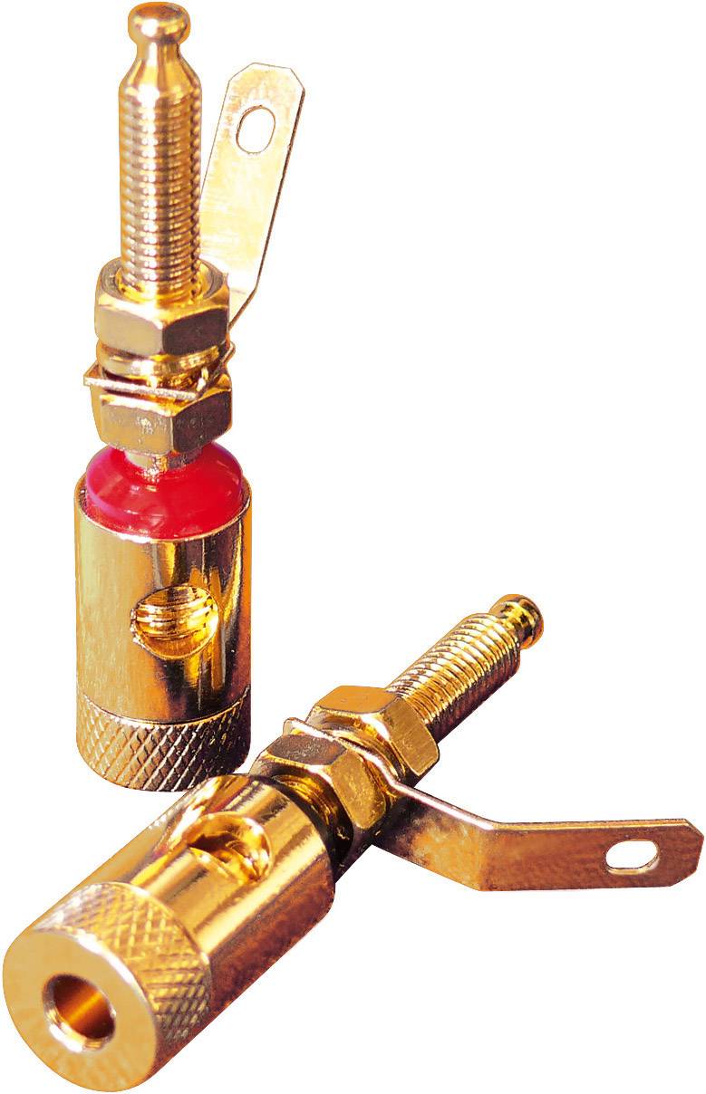 Dynavox Banana jack 205096 4 pc(s)