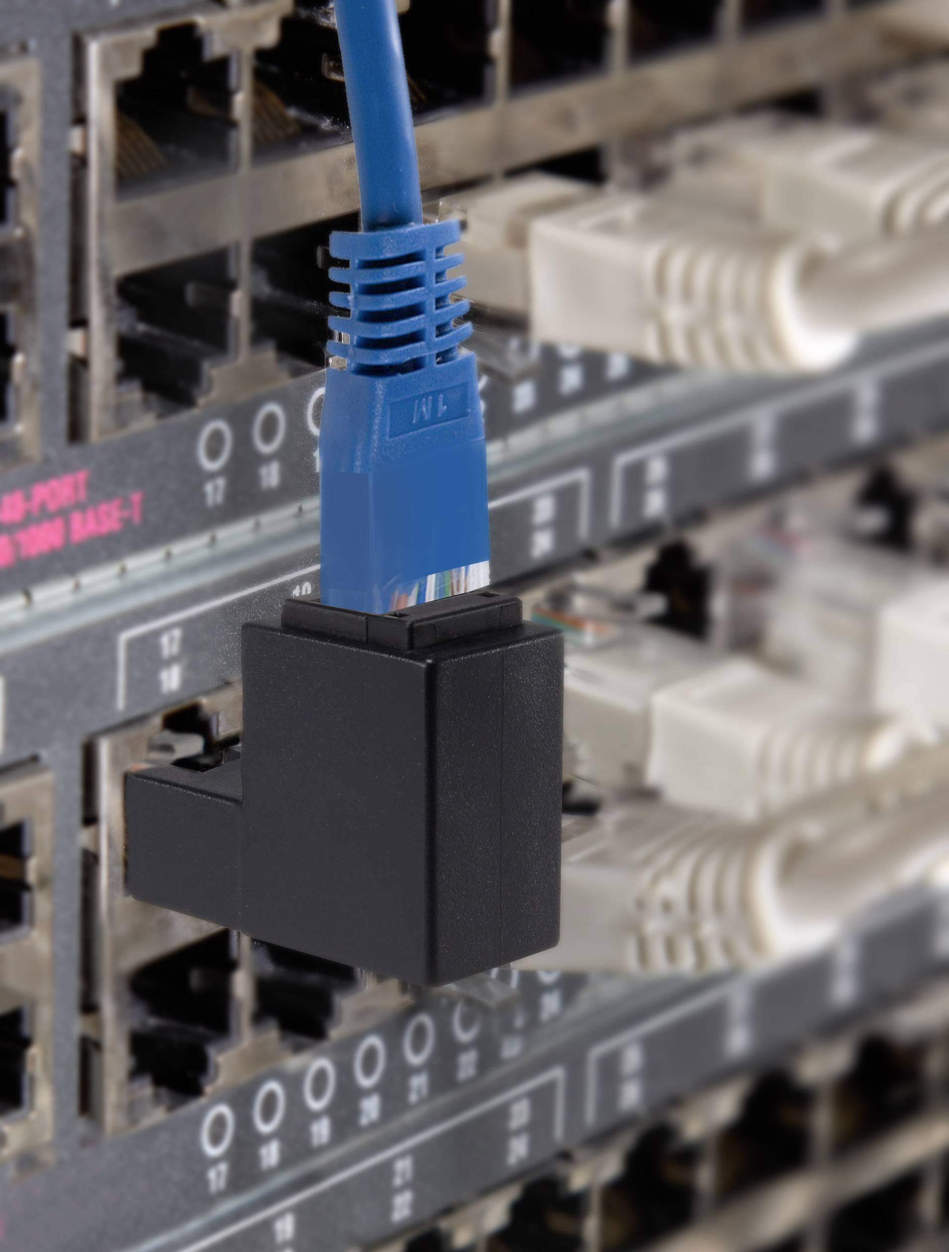 A blue Ethernet cable is connected to a network switch. The switch has multiple ports, some of which are already occupied.