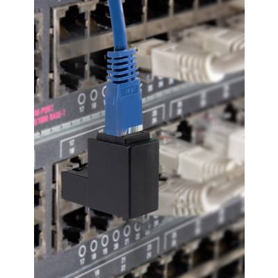 A blue Ethernet cable is connected to a network switch. The switch has multiple ports, some of which are already occupied.