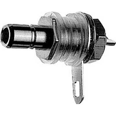 A metal connector with threading and an external metal housing, with a side-mounted mounting bracket for fastening.