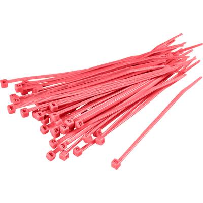 TRU COMPONENTS 1593695 TC-CV100203 Cable tie 100 mm 2.50 mm Red  100 pc(s)