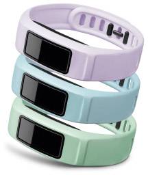 vivofit 2 wristband