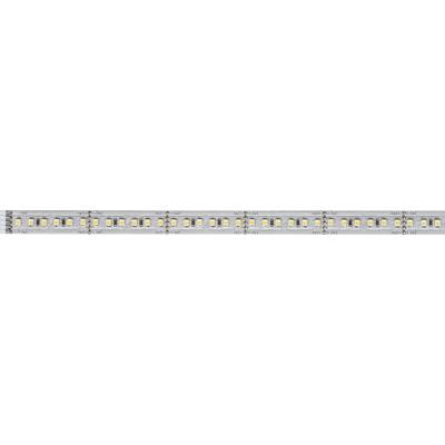 Paulmann MaxLED 1000 70568 LED strip extension  + plug 24 V 1 m Warm white  1 pc(s)
