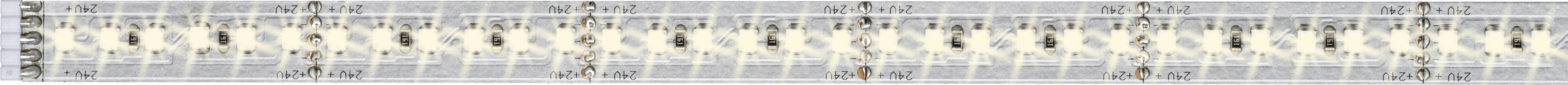Several grey owls stand at regular intervals in a line. The background colour is grey.