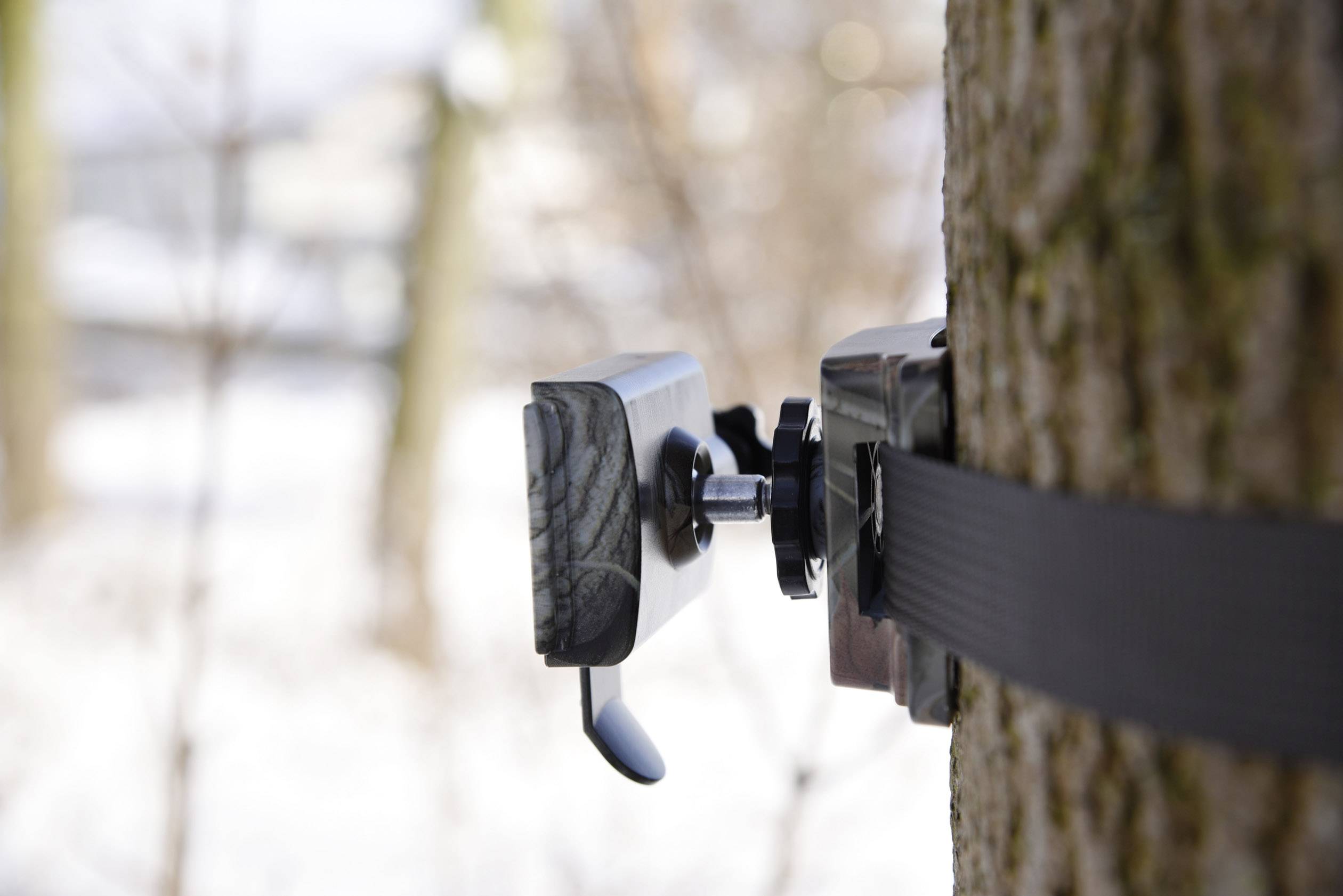 A trail camera is fastened to a tree with a strap. The camera is aimed at the surrounding area, ready to capture footage.