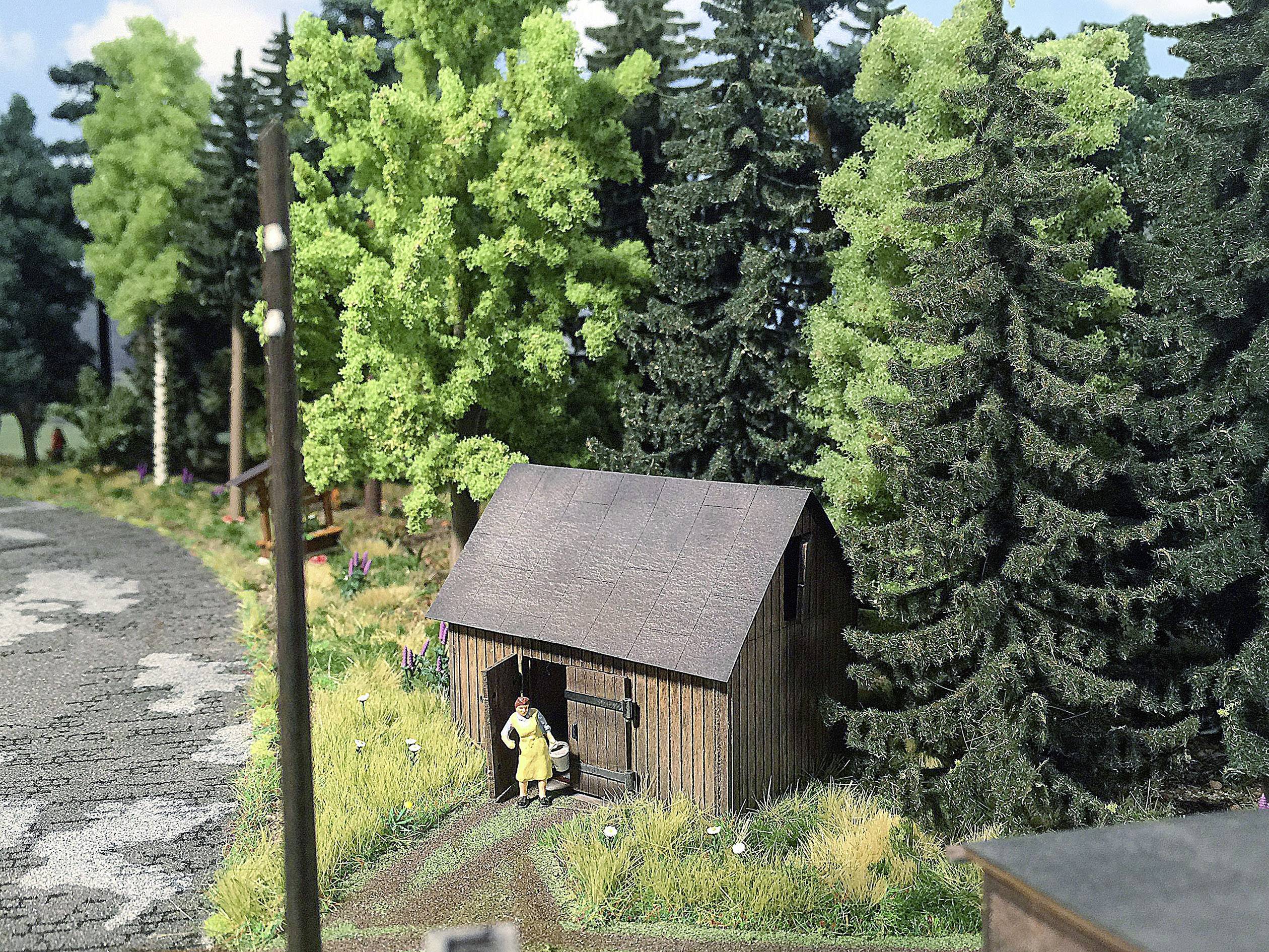 A small cottage stands at the edge of the woods beside a path. Two figures stand in front of the cottage amid tall trees and grass.
